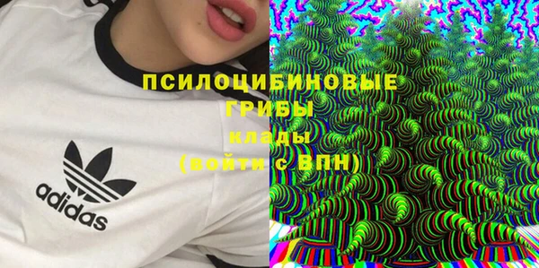 метадон Нея