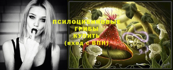 герыч Новокубанск