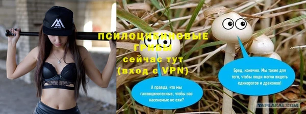 метадон Нея