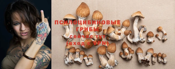 метадон Нея