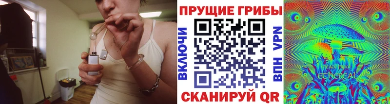 где можно купить наркотик Нефтеюганск Псилоцибиновые грибы прущие грибы